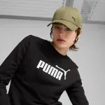 025994_02_puma_gorra_essentials_p_caballero_3.webp