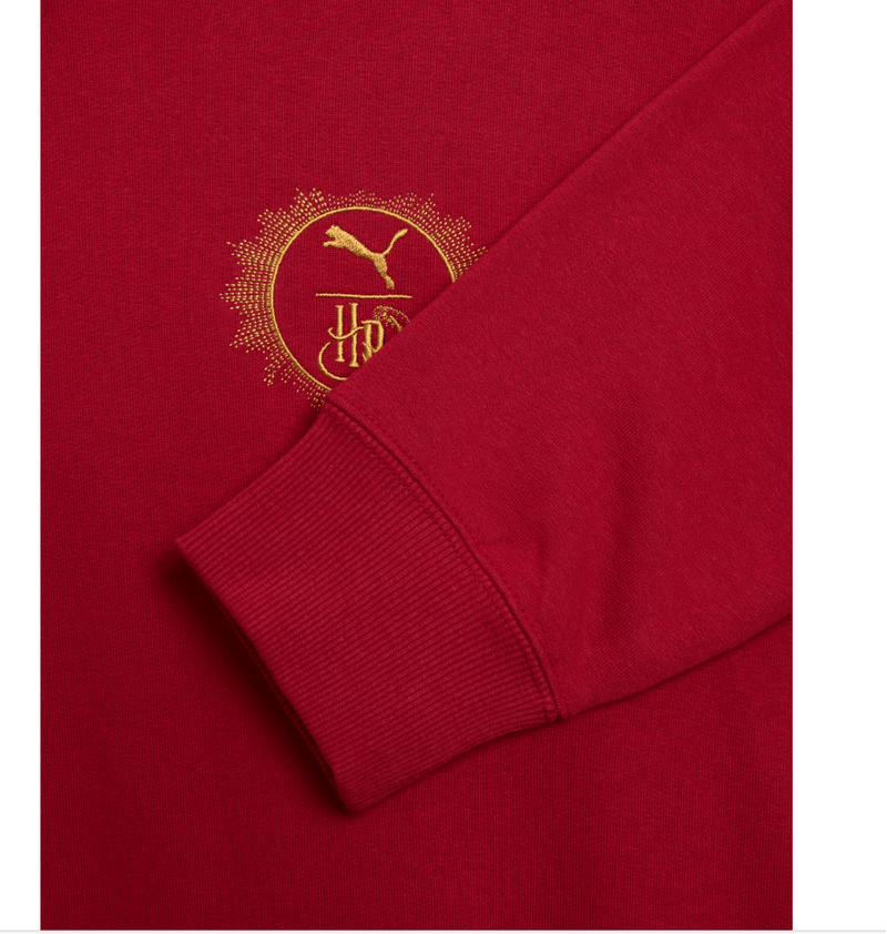 630093_13_puma_sudadero_x_harry_potter_p_caballero_4