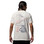 ib7526_133_nike_t_shirt_jordan_p_caballero_2