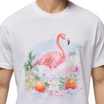 hj2399_100_nike_t_shirt_jordan_p_caballero_3