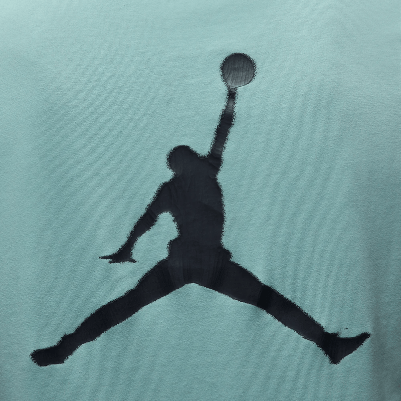 ib7522_309_nike_t_shirt_jordan_p_caballero_4