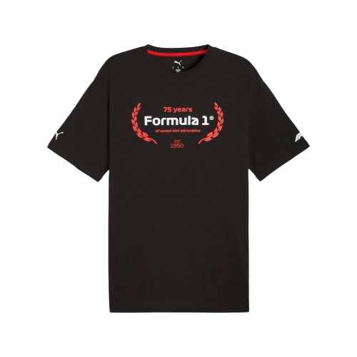 632652_01_puma_t_shirt_f1_p_caballero-removebg-preview